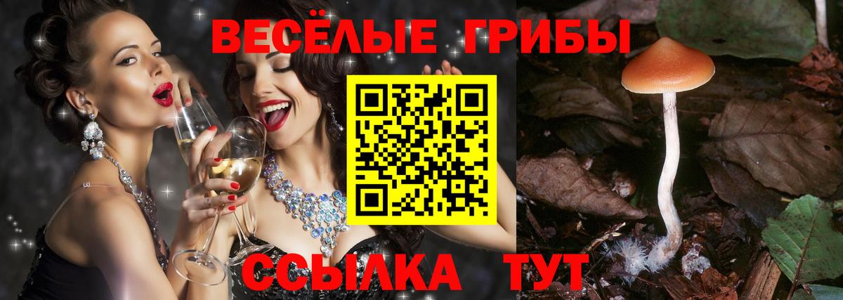 Псилоцибиновые грибы GOLDEN TEACHER Медногорск